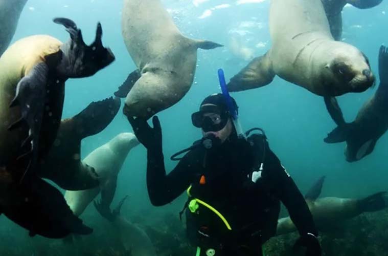 Buceo en Las Grutas